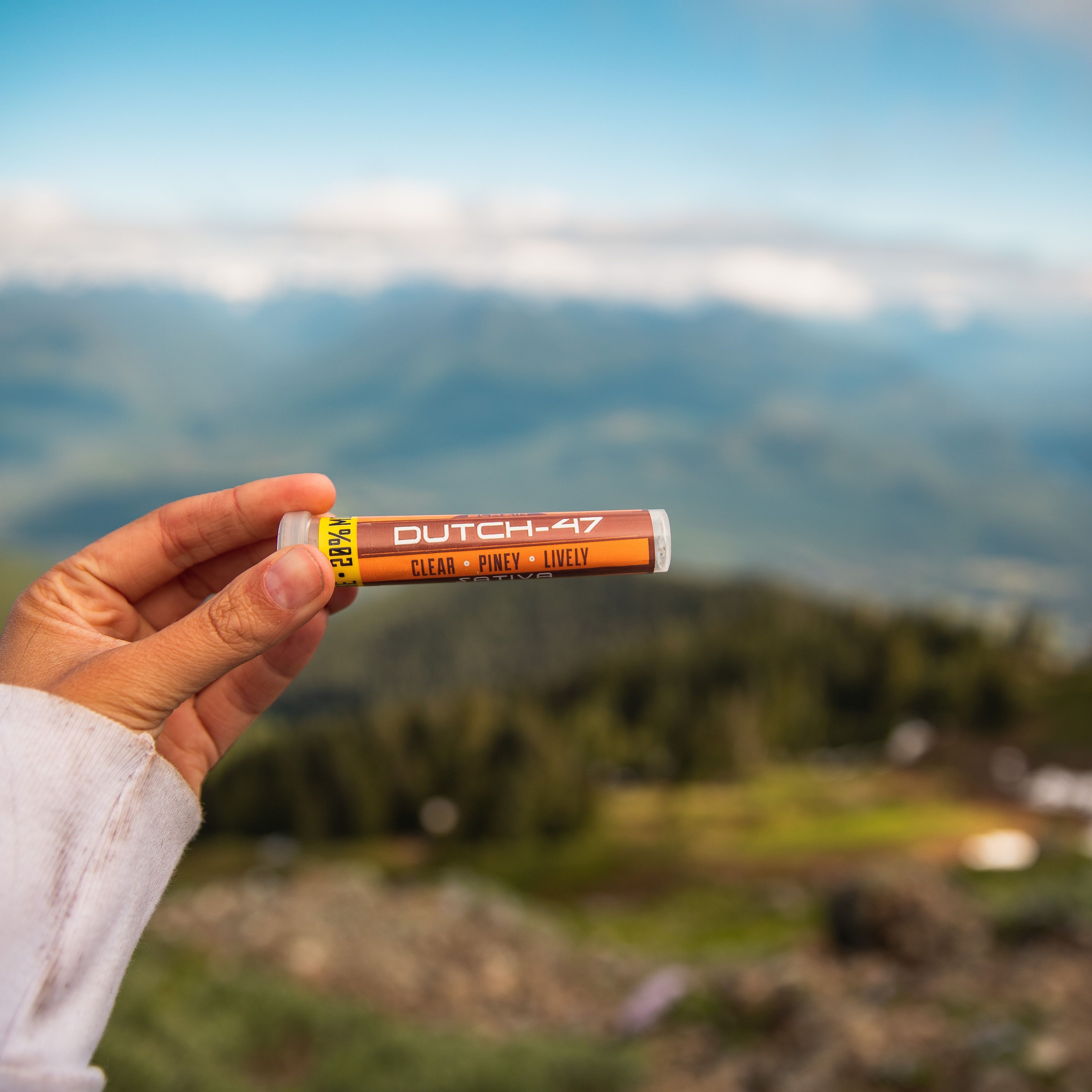 ~Trail Blazin' Pre-roll Dutch-47